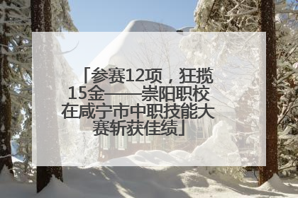 参赛12项，狂揽15金——崇阳职校在咸宁市中职技能大赛斩获佳绩