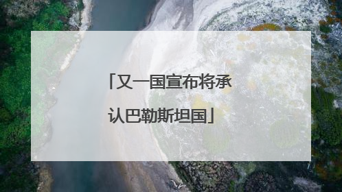 又一国宣布将承认巴勒斯坦国