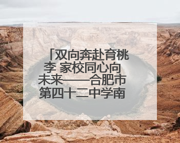 双向奔赴育桃李 家校同心向未来——合肥市第四十二中学南城分校家长学校期末总结会圆满召开