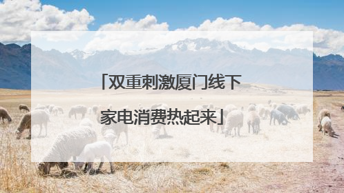 双重刺激厦门线下家电消费热起来