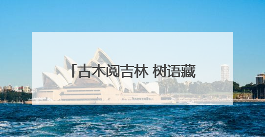 古木阅吉林 树语藏百年｜西关宾馆内，古榆“讲述”时光絮语