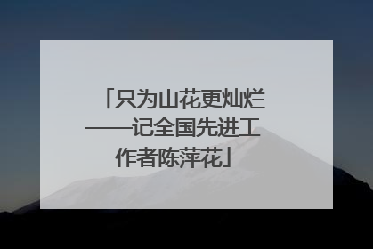 只为山花更灿烂——记全国先进工作者陈萍花