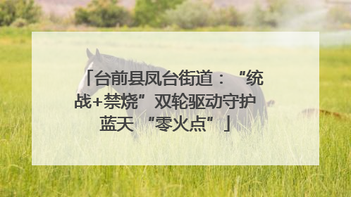 台前县凤台街道：“统战+禁烧”双轮驱动守护蓝天 “零火点”