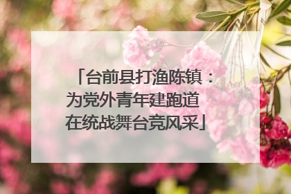 台前县打渔陈镇：为党外青年建跑道 在统战舞台竞风采