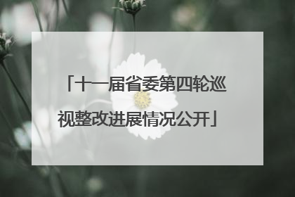 十一届省委第四轮巡视整改进展情况公开