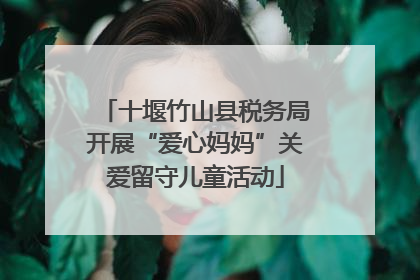十堰竹山县税务局开展“爱心妈妈”关爱留守儿童活动