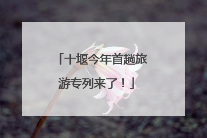 十堰今年首趟旅游专列来了！
