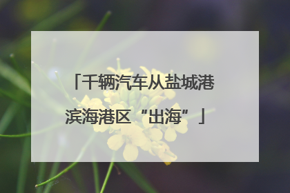 千辆汽车从盐城港滨海港区“出海”
