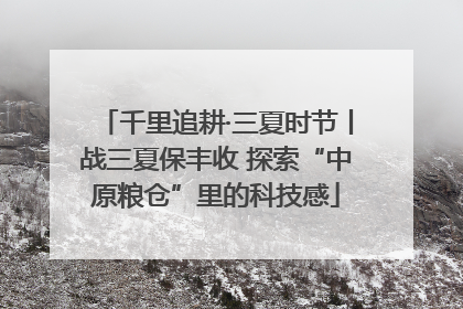 千里追耕·三夏时节丨战三夏保丰收 探索“中原粮仓”里的科技感