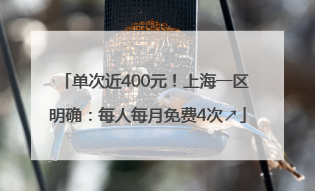 单次近400元！上海一区明确：每人每月免费4次↗