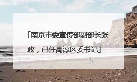 南京市委宣传部副部长张政，已任高淳区委书记