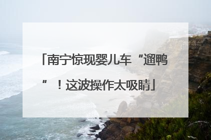 南宁惊现婴儿车“遛鸭”！这波操作太吸睛