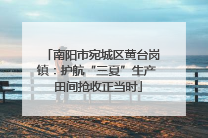 南阳市宛城区黄台岗镇：护航“三夏”生产 田间抢收正当时