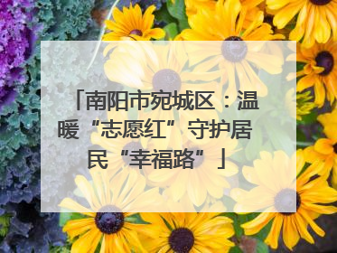 南阳市宛城区：温暖“志愿红”守护居民“幸福路”