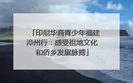 印尼华裔青少年福建漳州行：感受祖地文化和侨乡发展脉搏