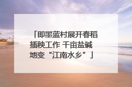 即墨蓝村展开春稻插秧工作 千亩盐碱地变“江南水乡”