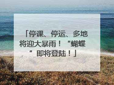 停课、停运、多地将迎大暴雨！“蝴蝶”即将登陆！