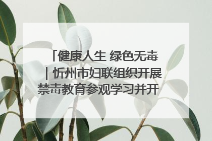 健康人生 绿色无毒｜忻州市妇联组织开展禁毒教育参观学习并开展主题党日活动