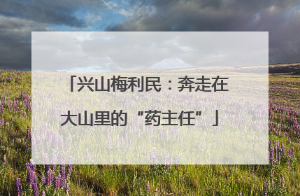 兴山梅利民：奔走在大山里的“药主任”