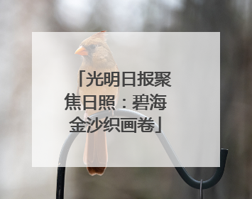 光明日报聚焦日照：碧海金沙织画卷