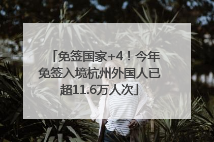 免签国家+4！今年免签入境杭州外国人已超11.6万人次
