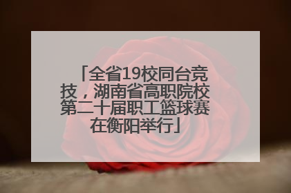 全省19校同台竞技，湖南省高职院校第二十届职工篮球赛在衡阳举行
