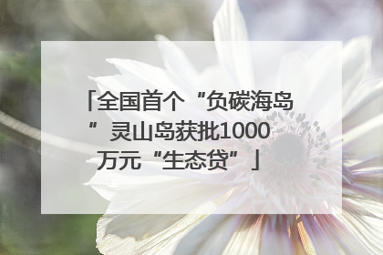 全国首个“负碳海岛”灵山岛获批1000万元“生态贷”