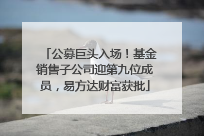 公募巨头入场！基金销售子公司迎第九位成员，易方达财富获批