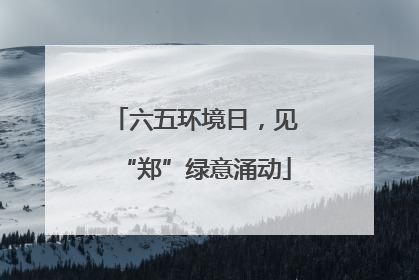 六五环境日，见“郑”绿意涌动