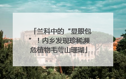 兰科中的“显眼包”！内乡发现珍稀濒危植物毛萼山珊瑚