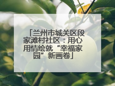 兰州市城关区段家滩村社区：用心用情绘就“幸福家园”新画卷