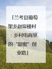 兰考县葡萄架乡赵垛楼村：乡村电商里的“甜蜜”创业路