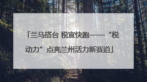兰马搭台 税宣快跑——“税动力”点亮兰州活力新赛道