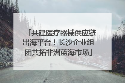 共建医疗器械供应链出海平台！长沙企业组团共拓非洲蓝海市场