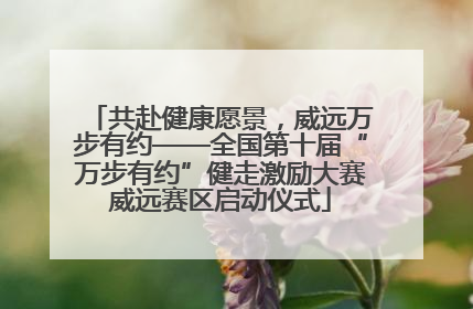 共赴健康愿景，威远万步有约——全国第十届“万步有约”健走激励大赛威远赛区启动仪式