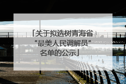 关于拟选树青海省“最美人民调解员” 名单的公示