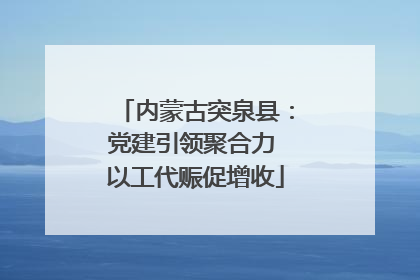 内蒙古突泉县：党建引领聚合力 以工代赈促增收