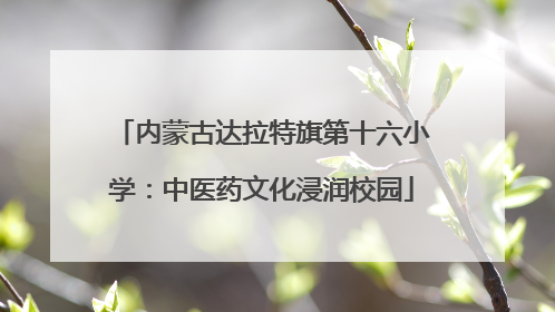 内蒙古达拉特旗第十六小学：中医药文化浸润校园