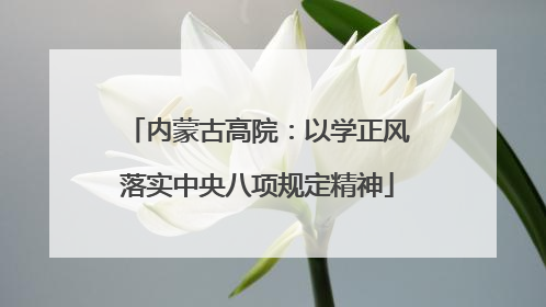 内蒙古高院：以学正风落实中央八项规定精神