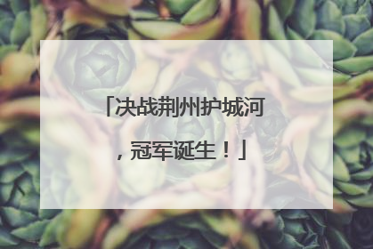决战荆州护城河，冠军诞生！