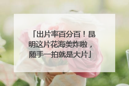 出片率百分百！昆明这片花海美炸啦，随手一拍就是大片