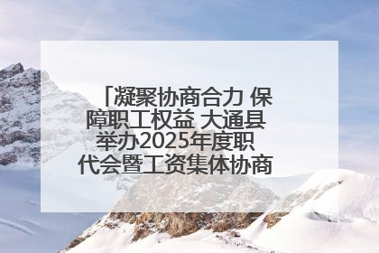 凝聚协商合力 保障职工权益 大通县举办2025年度职代会暨工资集体协商现场观摩交流活动