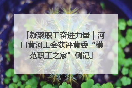凝聚职工奋进力量｜河口黄河工会获评黄委“模范职工之家”侧记