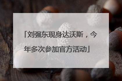 刘强东现身达沃斯，今年多次参加官方活动