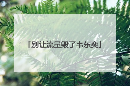 别让流量毁了韦东奕