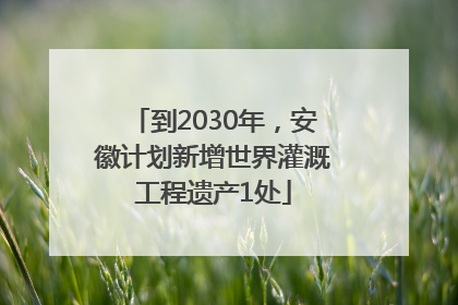 到2030年，安徽计划新增世界灌溉工程遗产1处