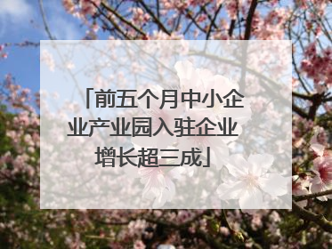 前五个月中小企业产业园入驻企业增长超三成