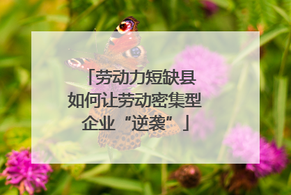 劳动力短缺县 如何让劳动密集型企业“逆袭”