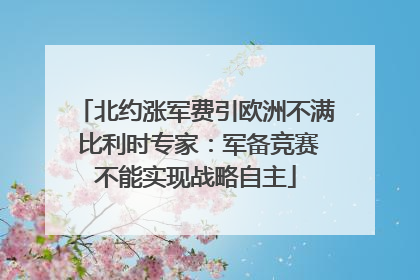 北约涨军费引欧洲不满 比利时专家：军备竞赛不能实现战略自主