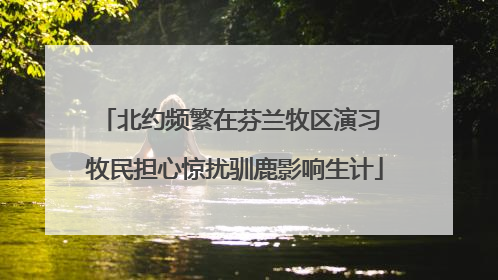 北约频繁在芬兰牧区演习 牧民担心惊扰驯鹿影响生计